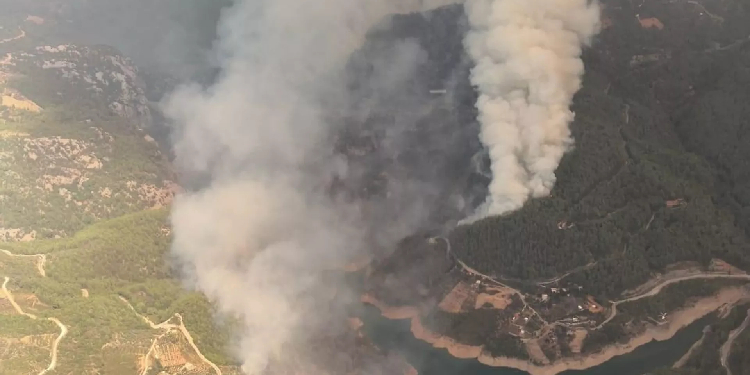 Alanya'da orman yangını: 17 ev tahliye edildi