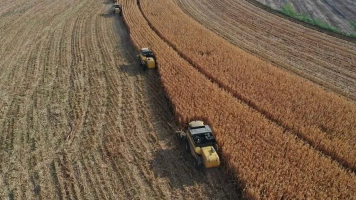 Kırsal kalkınmaya 237,3 milyon liralık tarımsal destek ödemesi yapılacak