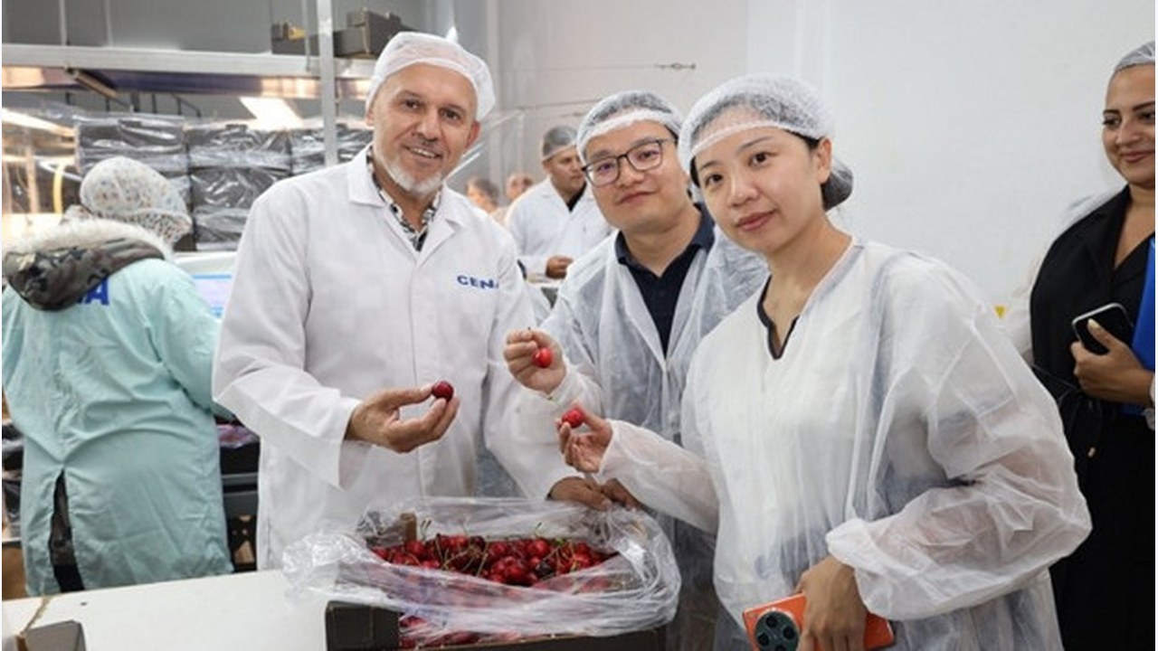 Türk kirazı tek yön Çin bileti peşinde