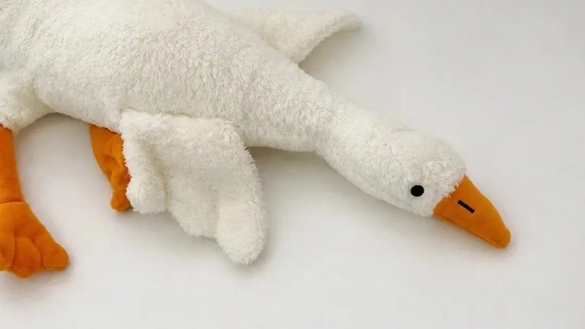 Piyasada Satılan 'Peluş Kaz' Oyuncakları İçin Toplatma ve Yasak Kararı Çıktı
