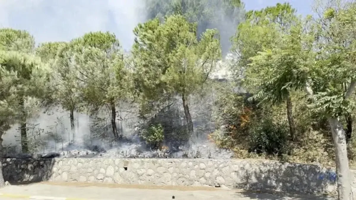 Balıkesir'de Yangın Alarmı: Yol Kenarındaki Alevler Ormana Sızdı