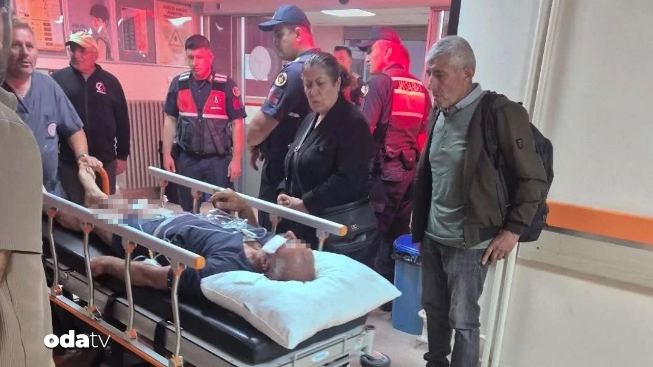 Sivas'da Çobanlar, Ayın Saldırısına Uğruldu: Ali Fethi Ünal