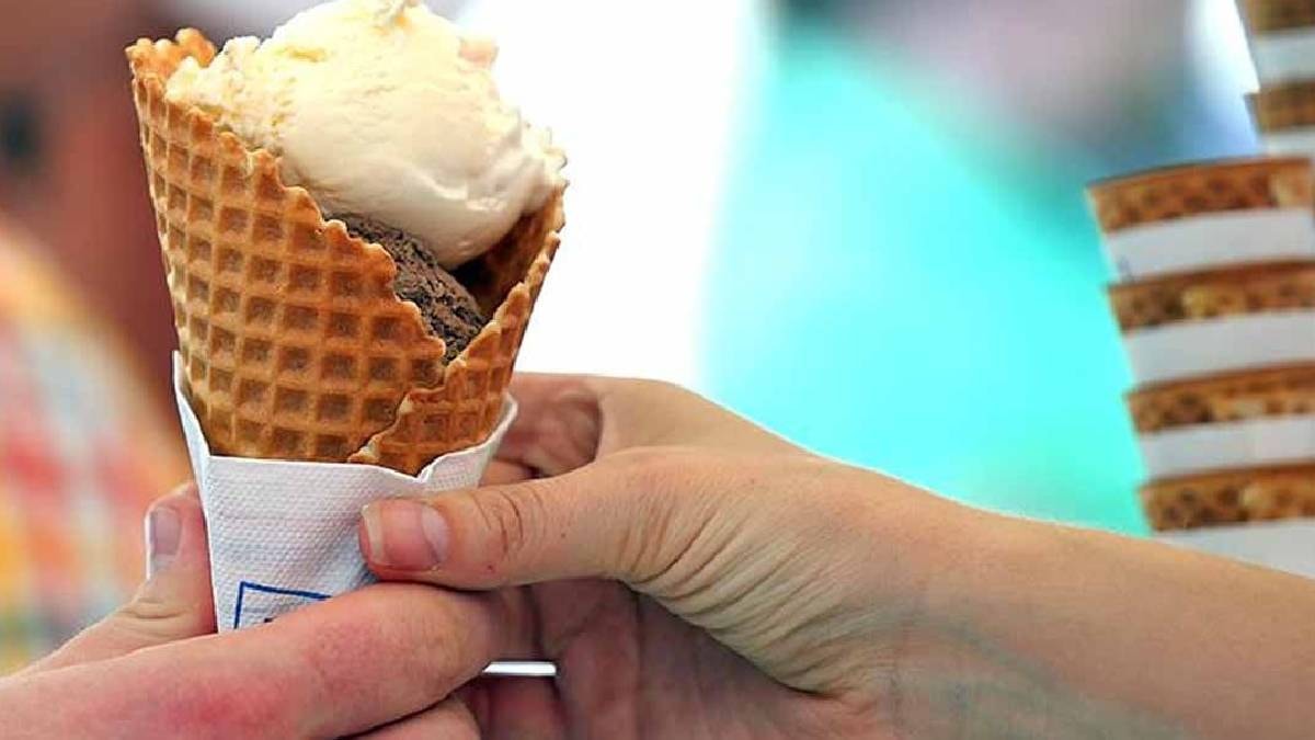 Rebel Ice Cream, Van Leeuwen'in Ambalaj Tasarımı Kasten Taklit Ediyor