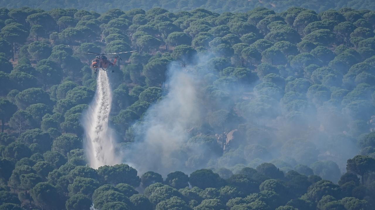 Son bir haftada çıkan yangınlarla ilgili 2 kişi tutuklandı