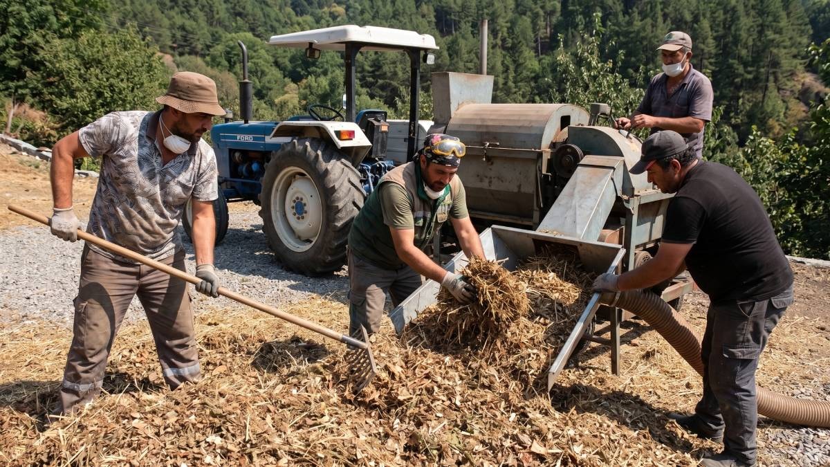 1 ay çalışıp 11 ay yatıyorlar: Saatte 7 bin TL kazanıyorlar