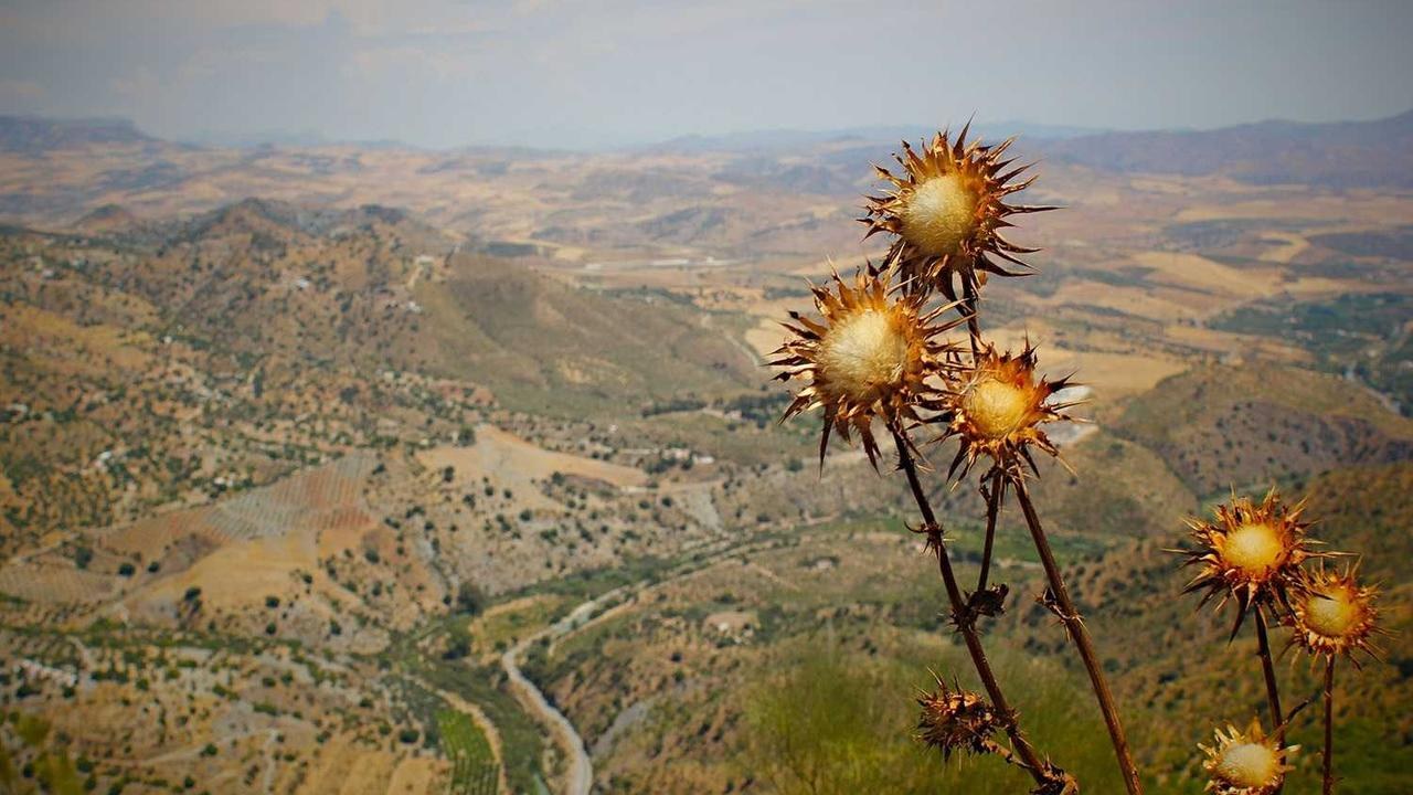 Kabine Toplantısı kararları açıklandı!