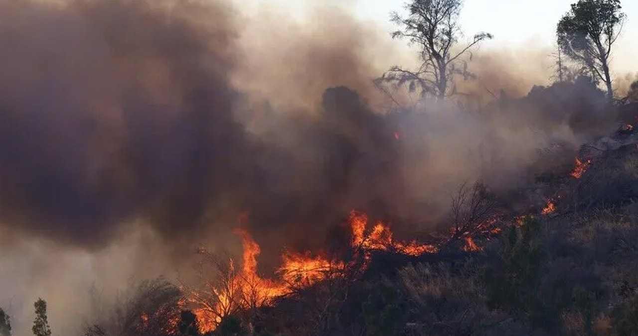 Fethiye'de orman yangını: Hava ve kara araçlarıyla müdahale devam ediyor