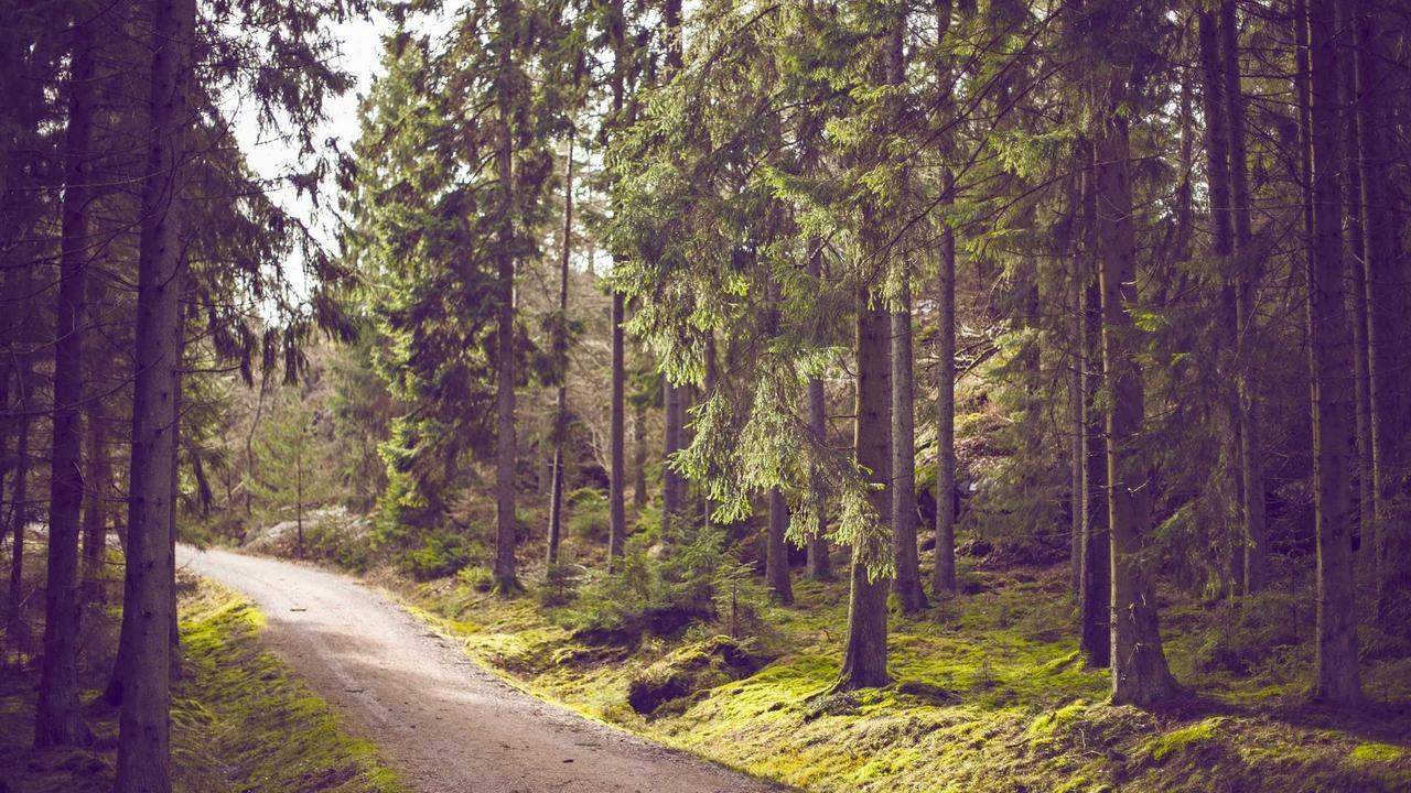 Ünlü oyuncunun adrenalin tatili