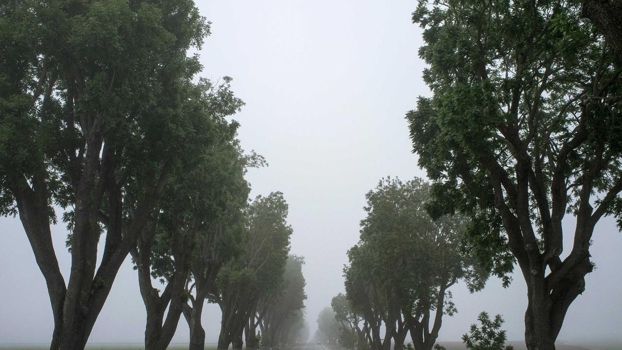 Çanakkale'de orman yangını!
