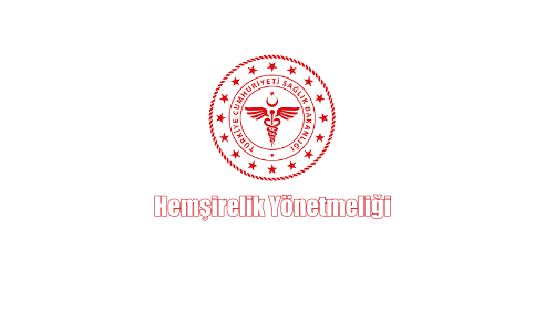 Yeni Hemşirelik Yönetmeliği Sağlık Çalışanlarının Gündeminde