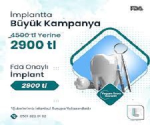 implant 2900